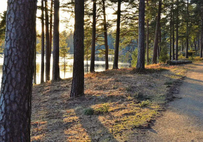 Nylund-Rörstorp, Sweden DMC